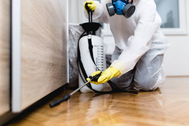 Best Exterminator Services  in Ashland, IL