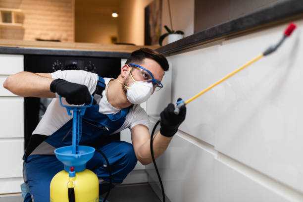 Best Rat Extermination Near Me  in Ashland, IL