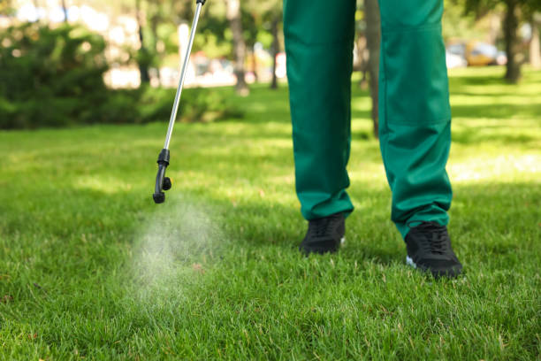 Pest Control for Restaurants in Ashland, IL