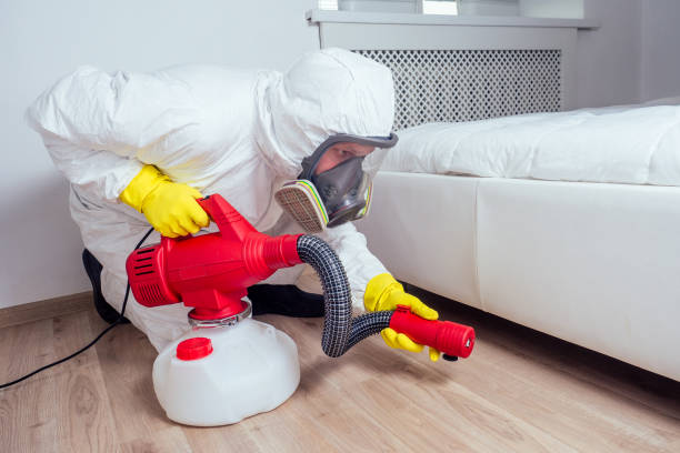 Best Local Pest Control Services  in Ashland, IL