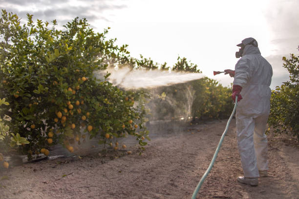 Best Pest Control Treatment  in Ashland, IL