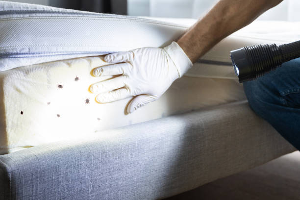 Best Pest Removal Services  in Ashland, IL