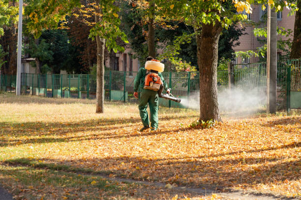 Best Exterminator Services  in Ashland, IL