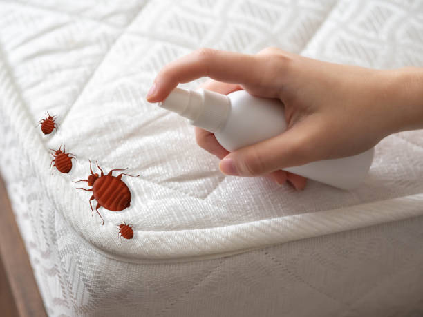 Best Best Pest Control Companies  in Ashland, IL