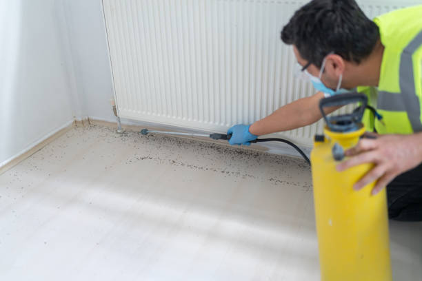 Best Emergency Pest Control  in Ashland, IL